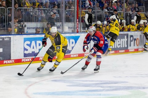 23.02.2024, DEL, German Ice Hockey League, 48th matchday) : Adler Mannheim (yellow jerseys) against