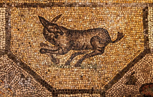 Mosaics, crypt of the excavations from the 4th century, Crypta degli Scavi, Basilica of Aquileia