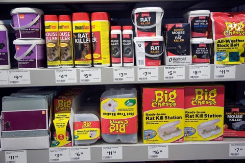 Rat killer poison products on shop shelf