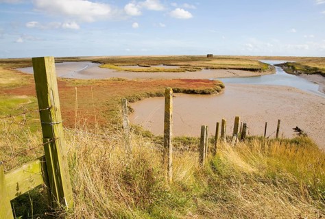 Mudflats and saltings vegetation on the tidal River Ore behind Orford ness shingle spit, Suffolk,