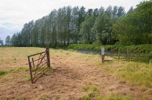 River Waveney valley landscape at Geldeston, Suffolk Norfolk border, England, United Kingdom,
