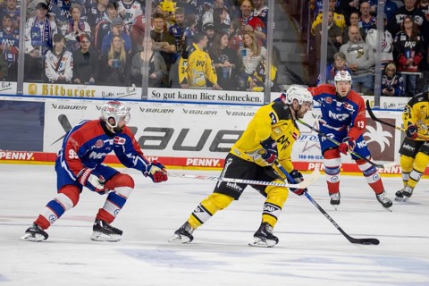 23.02.2024, DEL, German Ice Hockey League, 48th matchday) : Adler Mannheim (yellow jerseys) against