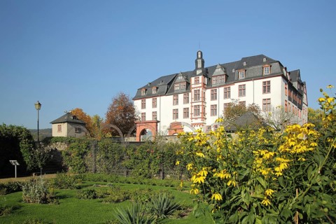 Residential palace with palace garden, flowers, palace, baroque, Idstein, Taunus, Hesse, Germany,