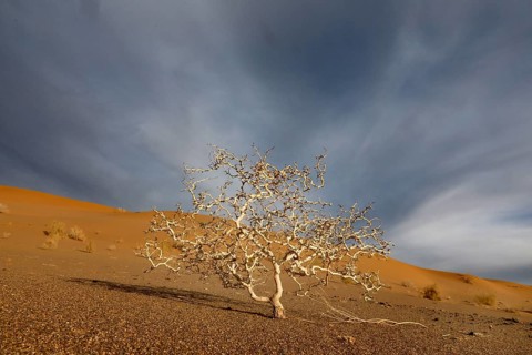 Mesr Desert in Iran. The Mesr Desert is part of the central Dashte-Kavir desert, 12.03.2019