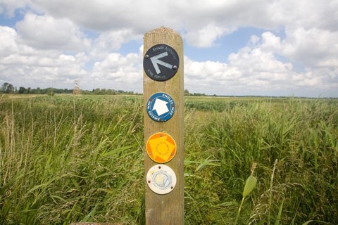 Route markers for Angles Way long distance footpath in marshes near Oulton Broad, Suffolk, England,