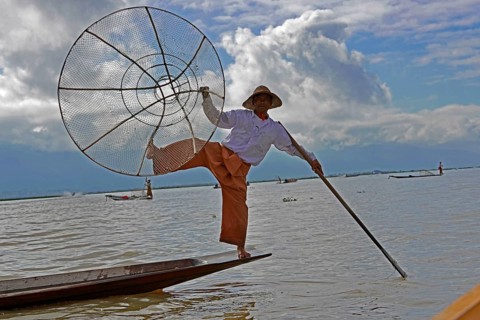 Intha fisherman, local man fishing with traditional conical fishing net, Inle Lake, Burma, Myanmar,
