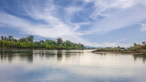 Isola della Cona, nature reserve, island of Grado, north coast of the Adriatic Sea, Friuli, Italy,