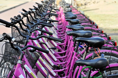 Rental bikes, Stazione Centrale di S. Maria Novella, Florence, Tuscany, Italy, Europe