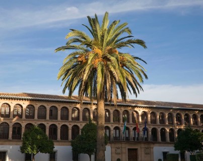Ayuntamiento City Hall building built in 1734 Ronda, Malaga province, Spain, Europe