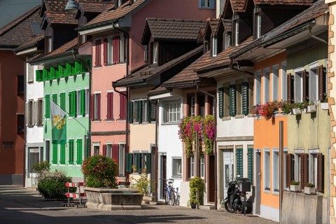 Old town of Dissenhofen on the Rhine, floral decoration, district of Frauenfeld, canton of Thurgau,