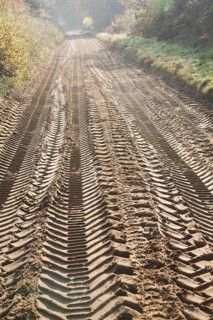 Tyre mark indentations in sandy soil of unsurfaced rural road crossing the Suffolk Sandlings at