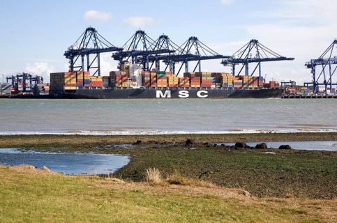 Cranes and container ships at Trimley Docks part of the Port of Felixstowe, Britain's busiest