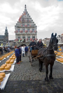 Gouda and cheese market, South Holland, Netherlands