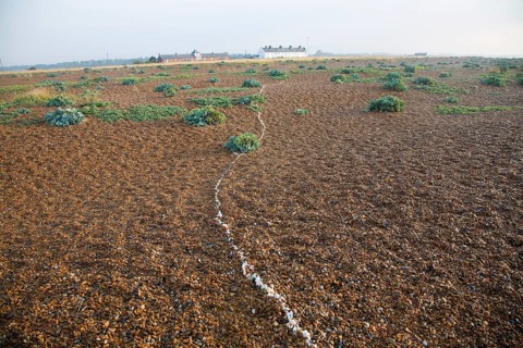 Line of white shells crossing beach to houses at the coastal hamlet of Shingle Street, North Sea