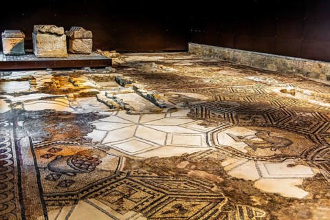 South Hall, from the 4th century, Basilica of Aquileia from the 11th century, largest floor mosaic