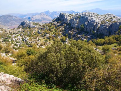 Dramatic limestone scenery of rocks shaped by erosion and weathering at El Torcal de Antequera
