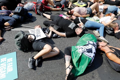 Mass die In, at the Official Animal Rights March demo at Rosenthaler Platz in Berlin. The Animal