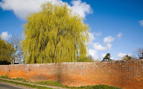 Red brick crinkle crankle or serpentine wall at Easton, Suffolk, England, United Kingdom, Europe