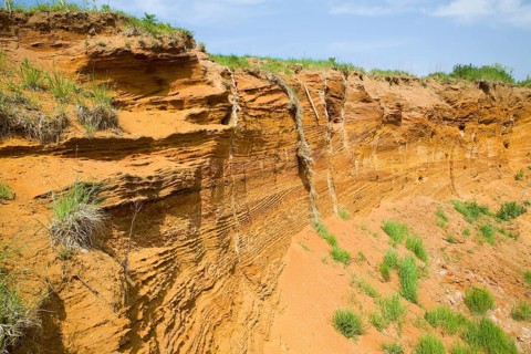 Red crag rock exposed at Buckanay Pit quarry, Alderton, Suffolk, England, United Kingdom, Europe