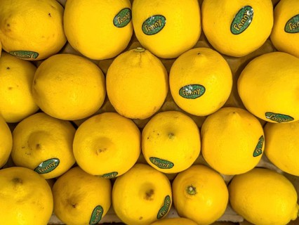 Lemons on display in grocery shop grocery store grocer supermarket, Germany, Europe
