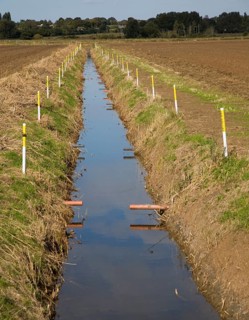 Newly renovated repaired drainage ditch Hollesley, Suffolk, England, United Kingdom, Europe
