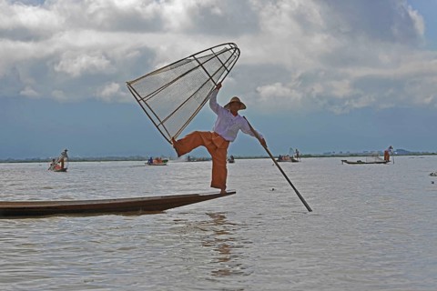 Intha fisherman, local man fishing with traditional conical fishing net, Inle Lake, Burma, Myanmar,
