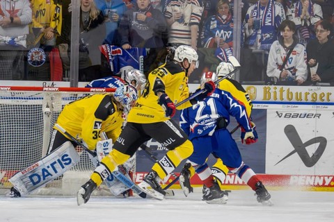 23.02.2024, DEL, German Ice Hockey League, 48th matchday) : Adler Mannheim (yellow jerseys) against