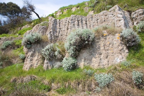 Pulhamite a type of man-made rock in the gardens at Bawdsey Manor, Suffolk, England, United