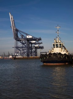 Container cranes on the quayside, Port of Felixstowe, Suffolk, England, United Kingdom, Europe