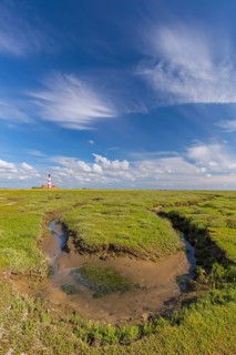 Saltmarsh and lighthouse Westerheversand at Westerhever in summer, Peninsula of Eiderstedt, Wadden