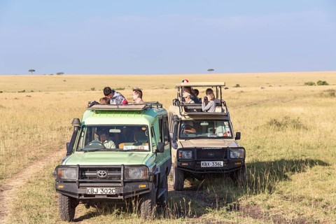 Tourists in safari cars watching and photographing the wildlife on the savanna, Maasai Mara, Kenya,
