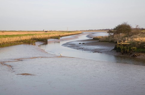 Mudflats and marsh at low tide, Wolsey's Creek, River Blyth, Reydon Marshes, Suffolk, England,