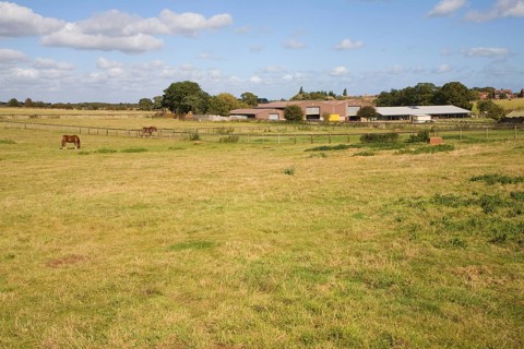 Horse stud, stables and tourist attraction at The Suffolk Punch Trust, Hollesley, Suffolk, England,