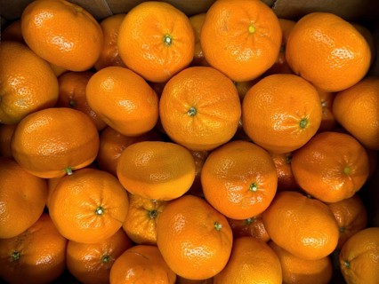 Tangerines on display in grocery shop grocery store grocer supermarket, Germany, Europe