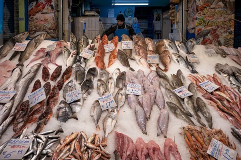 Trader, fishmonger working in his market stall, display of fresh fish and seafood on ice, Food,