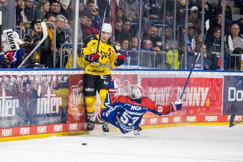 23.02.2024, DEL, German Ice Hockey League, 48th matchday) : Adler Mannheim (yellow jerseys) against