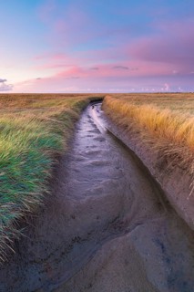 Water ditch in the polder area on the North Sea, portrait format, evening light, sunset, Dorum,