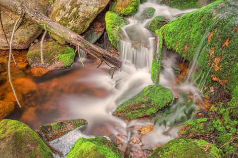 Close-up of a waterfall with a tree trunk protruding into it, long exposure, moss, Harz Mountains,