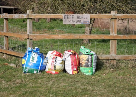 Bags of free horse manure