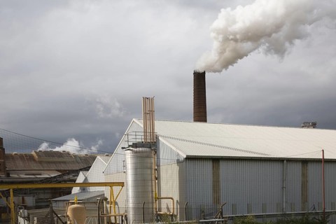 Steam rising from chimneys as sugar beet is processed at the British Sugar factory, Bury St