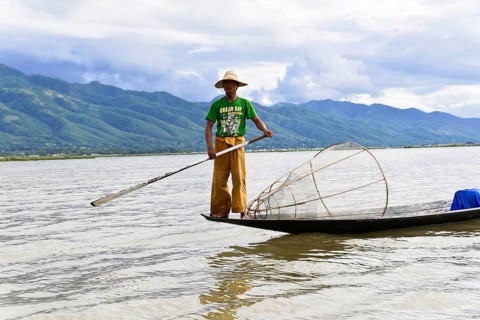 Intha fisherman, local man fishing with traditional conical fishing net, Inle Lake, Burma, Myanmar,
