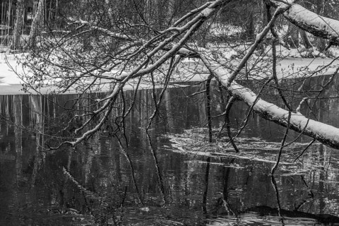 Sapina River and the riparian forest, the swamp, partially reflecting in the slowly flowing water,