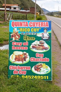 Billboard for a traditional cuyeria or guinea pig restaurant, Marangani, Canchis province, Cusco