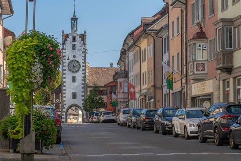 Old town of Dissenhofen on the Rhine, town gate, signalling tower, cantonal coat of arms, floral