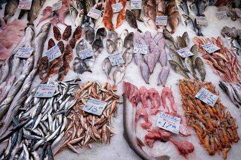 Display of fresh fish and seafood on ice, fishmonger, food, Kapani Market, Vlali, Thessaloniki,