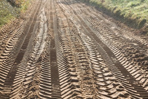 Tyre mark indentations in sandy soil of unsurfaced rural road crossing the Suffolk Sandlings at