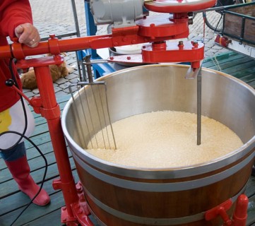 Gouda and cheese market, South Holland, Netherlands