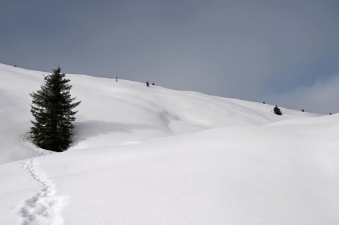 Winter landscape in the Beverin nature park Park, Graubuenden, Switzerland, Europe