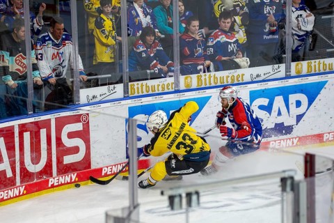 23.02.2024, DEL, German Ice Hockey League, 48th matchday) : Adler Mannheim (yellow jerseys) against