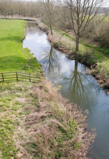 Straight stretch of mature River Deben in its flood plain, Wickham Market, Suffolk, England, United